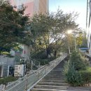 신화카클리닉 이미지