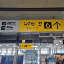 역 동 | KTX 동대구역 맛집 식당 버거스올마이티 후기