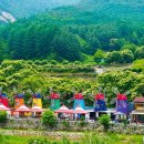 바래기한우정육점 이미지