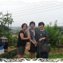 장성여자고등학교 이미지