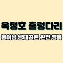 억새2축구장 | 전북 임실 여행코스 추천: 옥정호 출렁다리와 붕어섬 생태공원 완전 정복 가이드