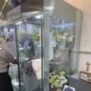🌷 대전 꽃집 ‘오월애플라워’ 둔산동 꽃다발 픽업 후기, 선물 성공!