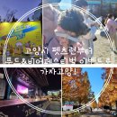 팻츠런 | 고양시 펫츠런/푸드앤비어페스티벌/가자고양 이용한 고양여행