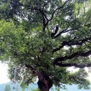 덕곡보건지소 이미지