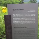 고려타이루 이미지