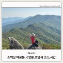 소백산 비로봉~국망봉~돼지바위~초암사 산행 코스,시간,철쭉개화율_26.05.16