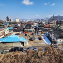 구바울기념의학박물관 이미지