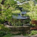 청정바람 이미지