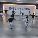 용인대 대한 태권도장 | 매교 태권도, 유치원 7세 아이 에너지 발산 완벽한 태권도장 🥋✨