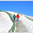 만사목장 이미지