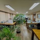 엠스터디학원 이미지