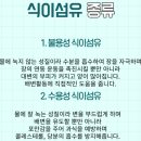 인큐어 | 건강한 장을 위한, ﻿셀트리온스킨큐어 인큐어 차전자피 식이섬유 에스라인 쾌변 다이어트