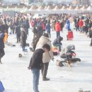 씽씽송송 이미지