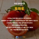 토마토치과 이미지