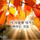 칭구야 - 부천시 원미구 | 칭구야