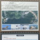 꽃분이네차와커피 이미지