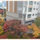 더좋은힐스공인중개사사무소 이미지