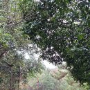 버스정류소_평생학습관 이미지