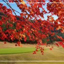 (주)팔공산업 이미지