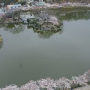 연화지 이미지
