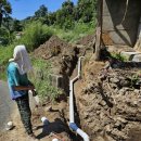 머물다꽃담 이미지