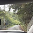 민둥산쉼터 | 민둥산 거북이쉼터 코스 최단 등산코스(+주차장, 주소)