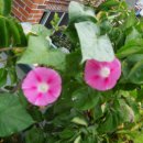 부산대학병원 이미지