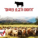 주식회사조은장터 - 익산시 | 주식회사조은장터