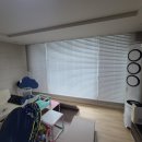 오동세천 네이버블로그