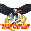 ﻿대마도는 한국 땅` 강력 증거 곳곳에 이미지