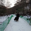 휴양림로 이미지