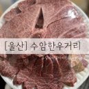 황가네식육점 - 김천시 | [울산❤️수암시장한우거리] 황가네식육점+향원정 조합으로 소고기 치팅데이 한 날(내돈내산)