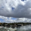 시드니 수산시장 Sydney Fish Market 만족스러웠던 맛집, 자리, 메뉴 후기