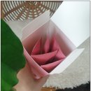 만성 고질병 질염 병원말고 닥터나비로 해결