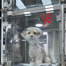 다산동물병원 이미지