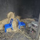 나주식당 | 무안 두암식당 짚불구이 후기｜나주·목포 가는 길에 들른 전남 맛집