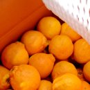 해용농장 이미지