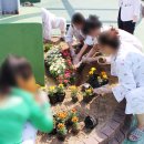 대한기술단주 이미지