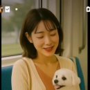 개엄마 Daum카페