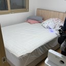 자비의집 | 벌레자비 해충방역 좀벌레 천연 살충제 내돈내산 후기