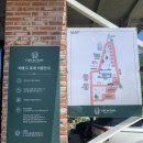 보리카매니아 | 강화도카페 카페드포레 강화여행 중 만난 숲속 감성 카페