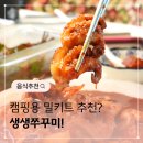 생생쭈꾸미 - 12037 | 캠핑용 밀키트 생생쭈꾸미 양념 볶음 후기