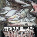 임여사수산 이미지