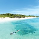 파라다이스 이미지