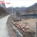 다복1리 경로당 이미지