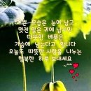 타이어명가 티스테이션 빛가람점 이미지