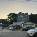 바바펜션민박 | 내돈내산 양양맛집 남애3리 남애항 횟집 <어민후계자횟집>