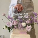 맨디데이즈 이미지