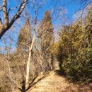 바우덕이(김암덕)묘 이미지