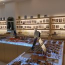 시선안경콘택트 이미지